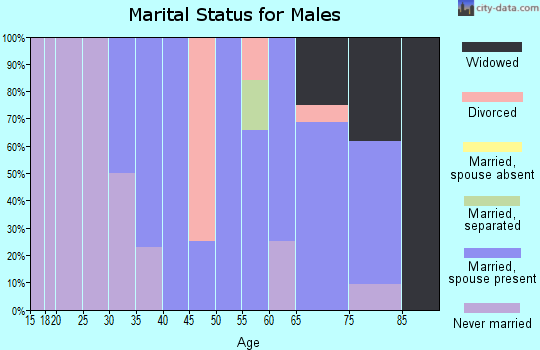 Zip code 99179 marital status for males