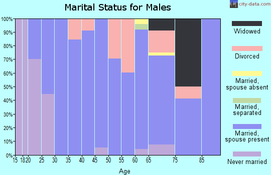 Zip code 99181 marital status for males