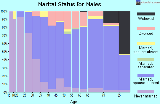 Zip code 99203 marital status for males
