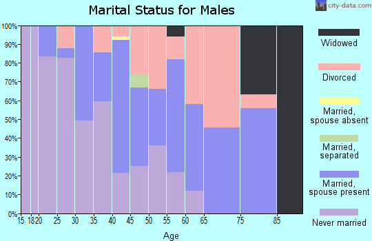 Zip code 99204 marital status for males