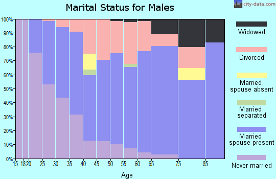 Zip code 99217 marital status for males