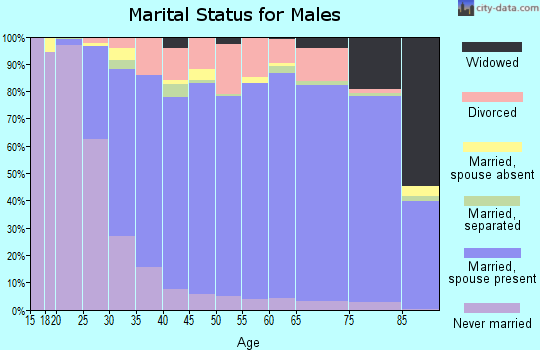 Zip code 99223 marital status for males