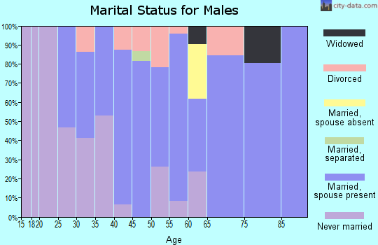 Zip code 99323 marital status for males