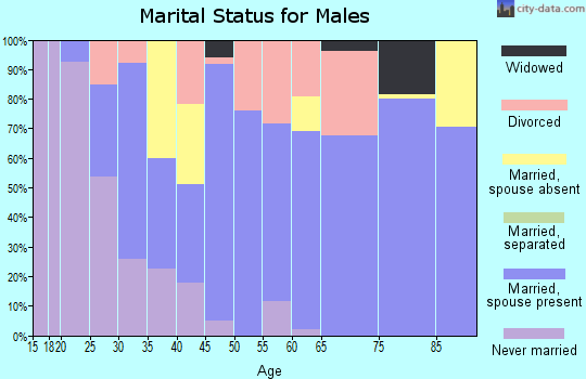Zip code 99324 marital status for males