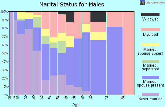 Zip code 99326 marital status for males