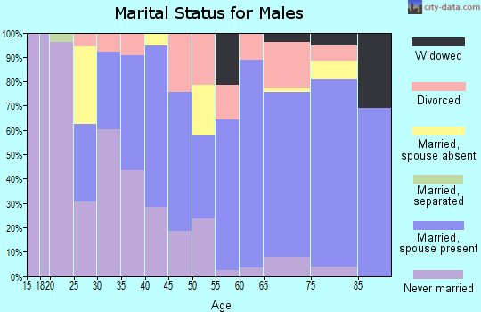 Zip code 99328 marital status for males