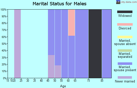 Zip code 99329 marital status for males
