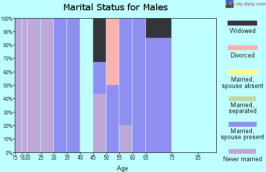 Zip code 99330 marital status for males