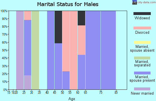 Zip code 99335 marital status for males