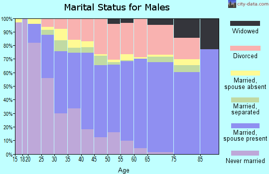 Zip code 99336 marital status for males