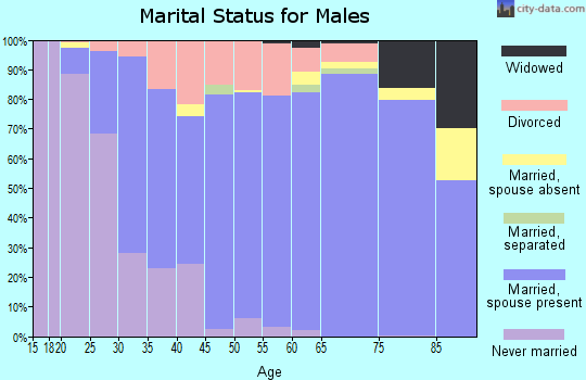 Zip code 99337 marital status for males