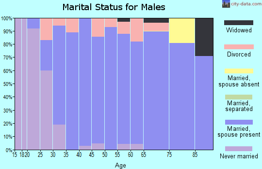 Zip code 99338 marital status for males