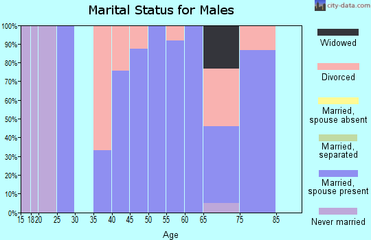 Zip code 99341 marital status for males