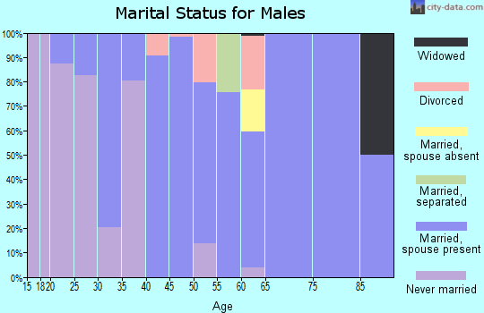 Zip code 99343 marital status for males