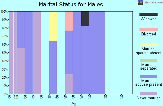 Zip code 99345 marital status for males