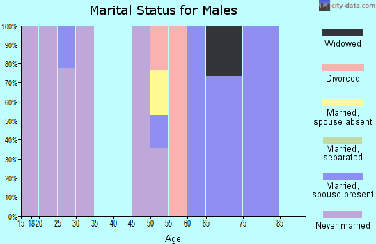 Zip code 99346 marital status for males