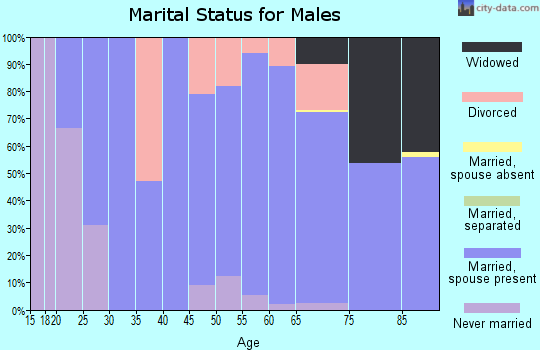 Zip code 99347 marital status for males