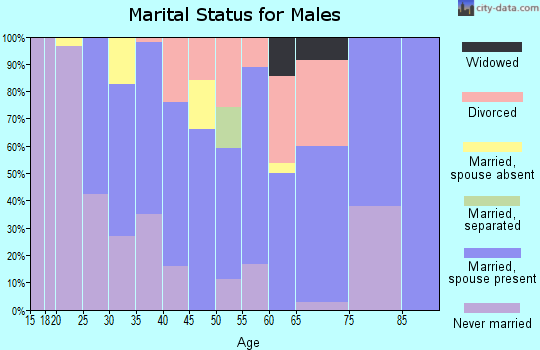 Zip code 99348 marital status for males