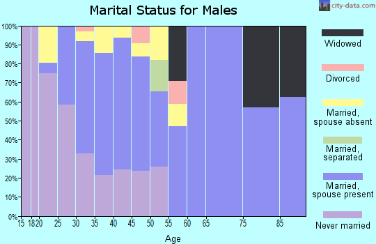 Zip code 99349 marital status for males