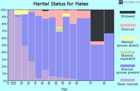 Zip code 99353 marital status for males