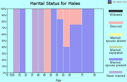 Zip code 99359 marital status for males