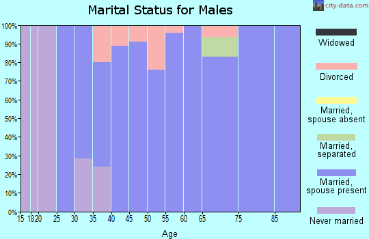 Zip code 99360 marital status for males