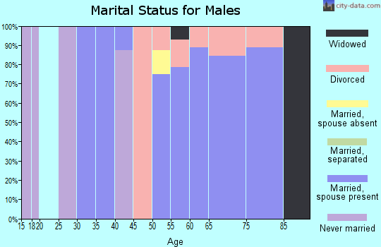 Zip code 99371 marital status for males
