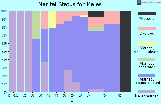 Zip code 99402 marital status for males