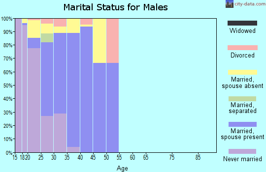 Zip code 99505 marital status for males