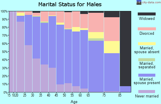 Zip code 99507 marital status for males