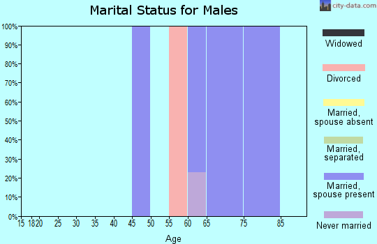 Zip code 99540 marital status for males