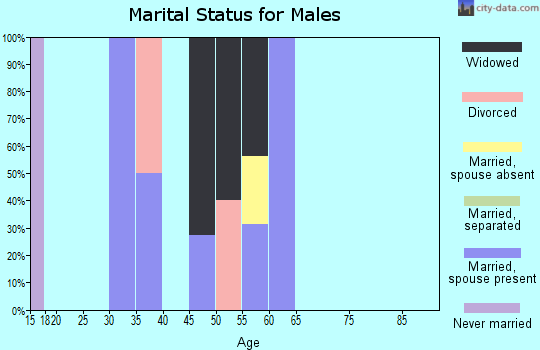 Zip code 99546 marital status for males