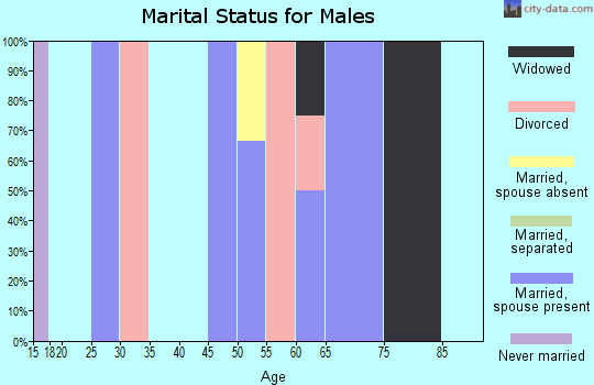 Zip code 99547 marital status for males
