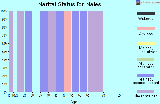 Zip code 99548 marital status for males