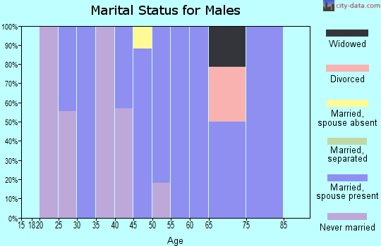 Zip code 99550 marital status for males