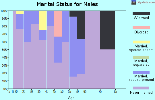 Zip code 99552 marital status for males