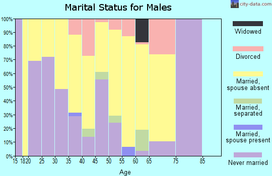 Zip code 99553 marital status for males
