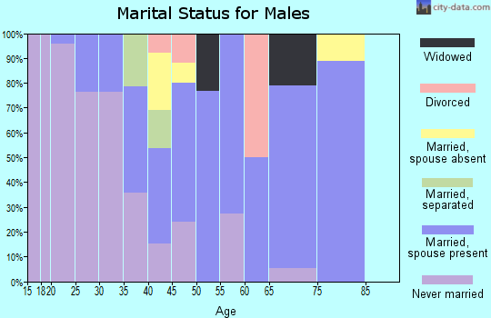 Zip code 99554 marital status for males
