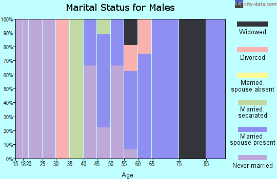 Zip code 99555 marital status for males