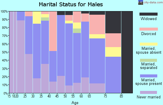 Zip code 99556 marital status for males