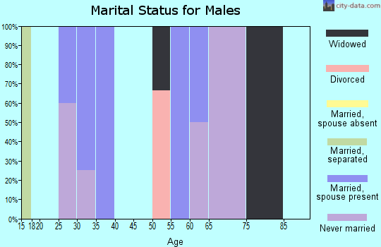 Zip code 99558 marital status for males