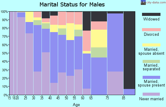 Zip code 99559 marital status for males