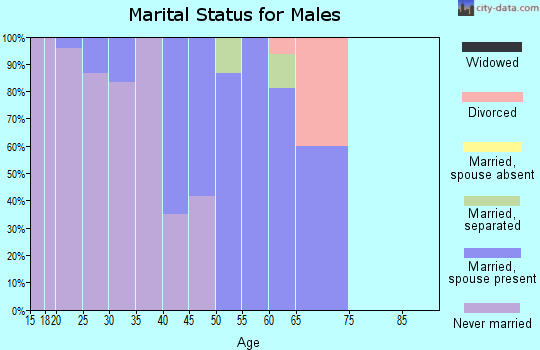 Zip code 99561 marital status for males
