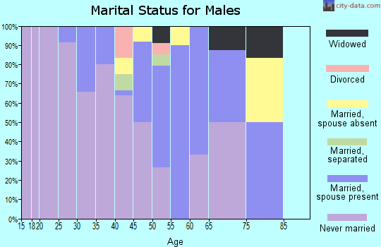 Zip code 99563 marital status for males