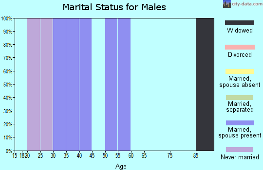 Zip code 99565 marital status for males