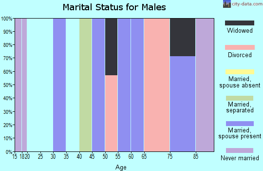 Zip code 99566 marital status for males
