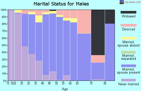 Zip code 99567 marital status for males