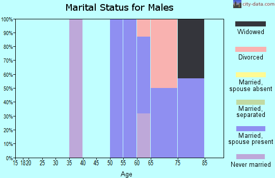 Zip code 99568 marital status for males