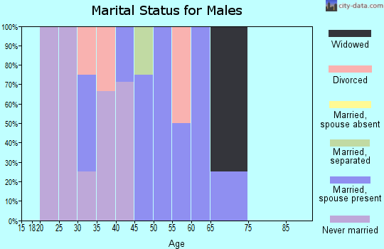 Zip code 99571 marital status for males