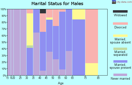 Zip code 99573 marital status for males